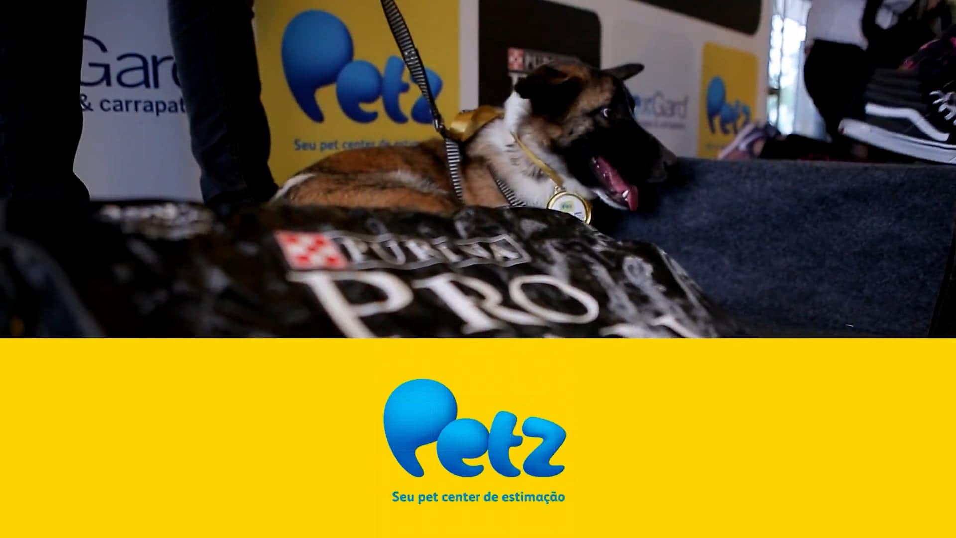 Desafio Supercão 2018 - PetMedia