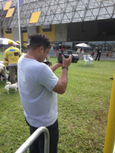 Pet (1)